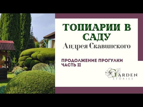 Видео: ПРОДОЛЖЕНИЕ ПРОГУЛКИ по саду ХУДОЖНИКА Андрея Скавинского / сад мастера топиара  / обзор сада