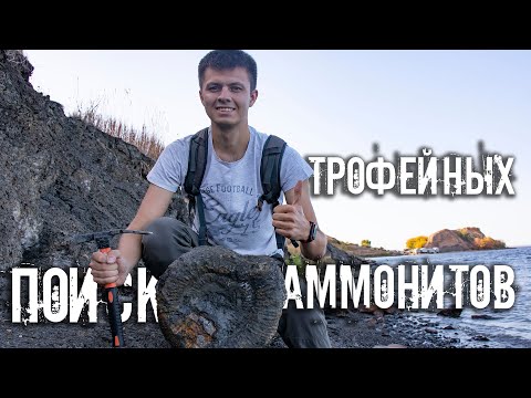 Видео: В поисках огромных аммонитов| Какие окаменелости мезозойской эры можно встретить на берегу Волги?