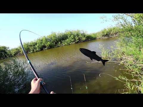 Видео: Я думал они удочку, пополам сломают. Вот это рыбалка.