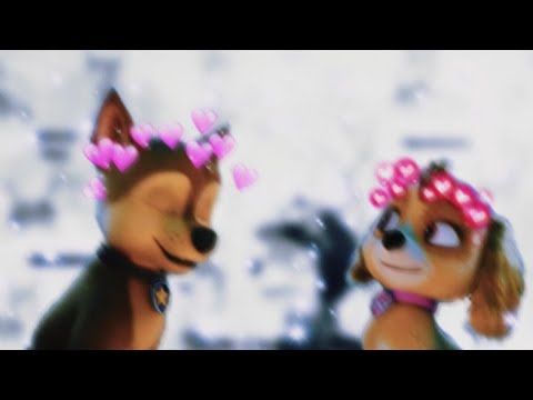 Видео: 🐾✨Гонщик и Скай✨🐾(Кис кис кис мяу мяу)~Для канала 🐾Рейчил🐾{TLK}🐾✨Chase x Skye✨🐾