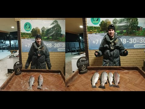 Видео: Две рыбалки со льда в РК Посейдон. Trout fishing in winter