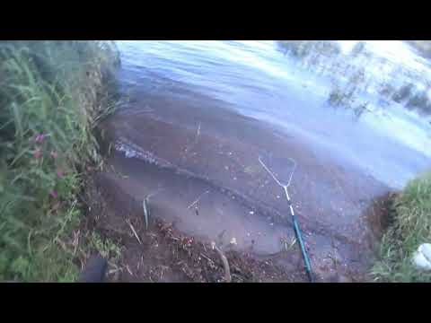 Видео: НА ЯУЗЕ ВЕТЕР, НО СУДАК КЛЮЁТ!