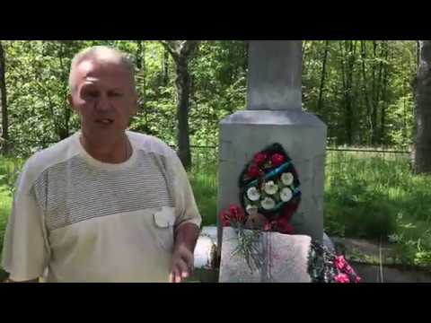 Видео: Братская могила «Рабочий поселок №5» 76 лет спустя