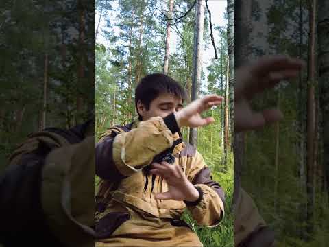 Видео: КРАСНАЯ ШАПОЧКА - ЖУТКАЯ ИСТОРИЯ НИ ДЛЯ ДЕТЕЙ