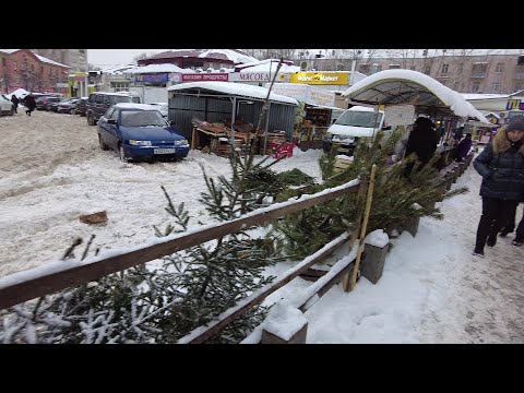 Видео: Я вернулся. Последний ролик 2023 года. Иваново 31.12.23г.