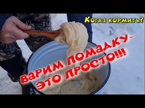 Видео: Канди для пчел. Рецепт приготовления помадки-канди от А до Я. Это очень просто!!!