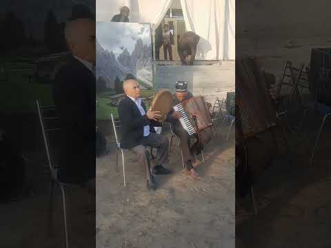 Видео: Суюн толлеив.