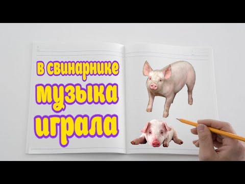 Видео: Мошенники звонят по телефону / Вежливая мошонка