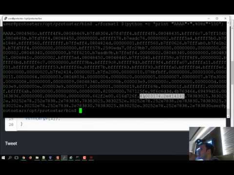 Видео: Лекция 6. Эксплуатация уязвимостей форматной строки