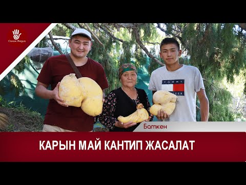 Видео: КАРЫН МАЙ КАНТИП ЖАСАЛАТ КАСИЕТ ЭЖЕ АЙТЫП БЕРЕТ