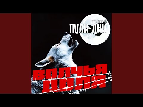 Видео: Волчья доля