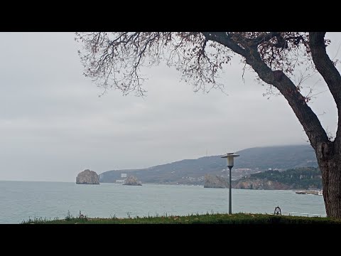 Видео: ВЛОГ/ АРТЕК 14 СМЕНА 2023. ЗАЕЗД И 1 ДЕНЬ. МОРСКОЙ