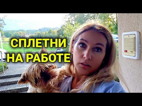 Видео: сплетни на рабочем месте | ученичество в Швейцарии | как дочка справляется с работой