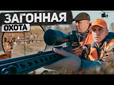 Видео: Уральская загонная охота на Сибирскую косулю [4K] #трофейнаяохота