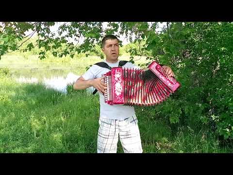 Видео: Куку да Куку да ещё куку и торопливо улетела