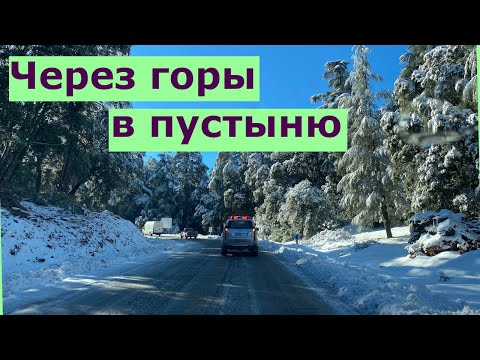 Видео: Через Средний Атлас в пустыню Сахара (часть 1) |  Марокко