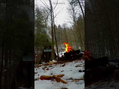 Видео: Лаго-Наки, поляна Нежная, Адыгея