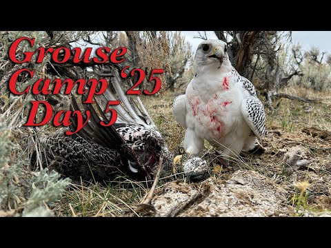 Видео: Лагерь «Граус 2025», день 5 (10 октября 2025 г.)