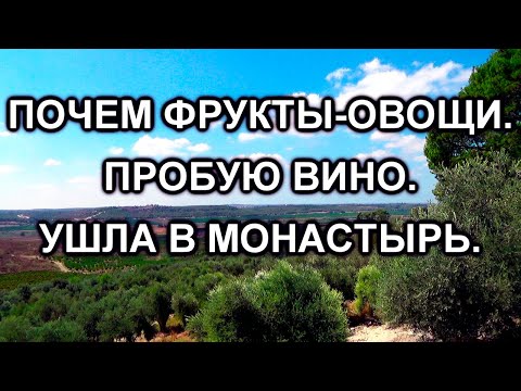 Видео: 746.Винодельня Мони                                         Монастырь Дир Рафат