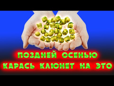 Видео: Насадка для рыбалки на КАРПА, КАРАСЯ, ЛЕЩА. Привлекает рыбу в холодной воде.