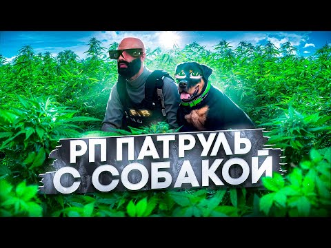 Видео: ПАТРУЛЬНЫЙ ПЁС не АТАКУЕТ ФЕРМУ но ПРОВЕРЯЕТ РП на GTA 5 MAJESTIC RP!