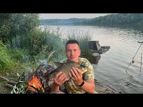 Видео: ЛУЧШАЯ НАСАДКА НА ЛЕЩА!!! Ловля леща на донки!!! Рыбалка на Оке с ночёвкой 2023!!! #рыбалка #fishing