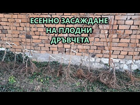 Видео: Разширявам овощната градина