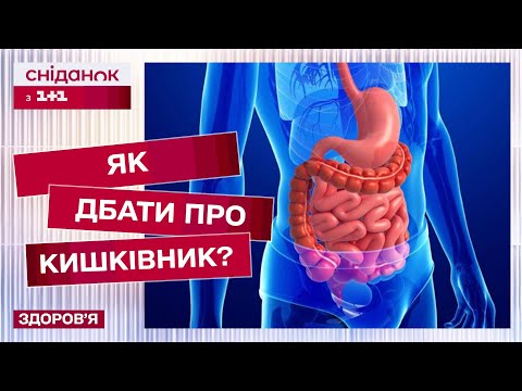 Видео: День здорового травлення: чому кишківник це “мозок” всього організму? Лікар Яна Музира