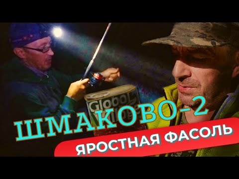 Видео: Рыбалка на фидер в ШМАКОВО - 2 . Яростная фасоль .