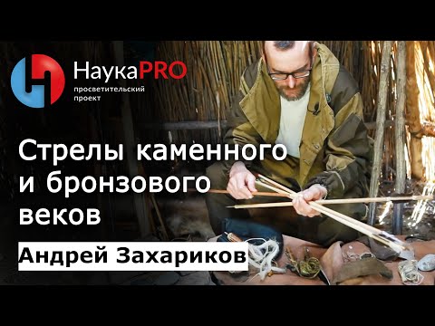 Видео: Древние технологии: стрелы в каменном и бронзовом веках – археолог Андрей Захариков | Научпоп