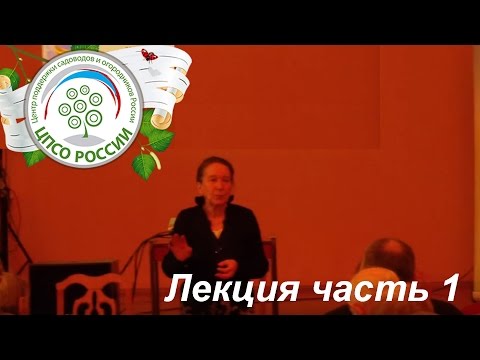 Видео: Выращиваем клубнику (землянику садовую крупноплодную)  Обширная лекция Часть1