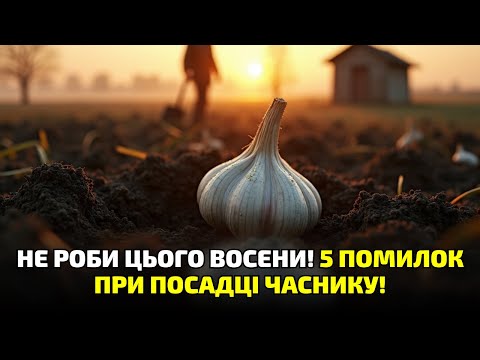 Видео: Чому ваш часник гниє після посадки? Осіння помилка, через яку навесні лише сморід!
