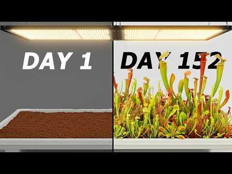 Видео: Имитация Солнца в течение 152 дней