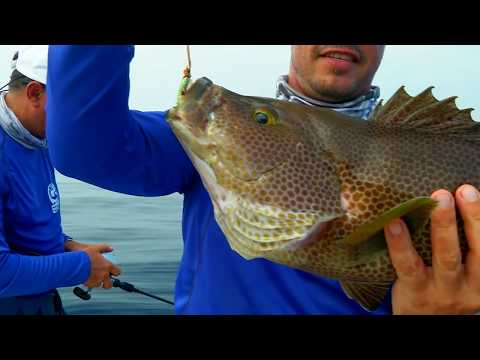 Видео: Рыбалка на Мальдивах \ Мировая рыбалка. Сезон 3.