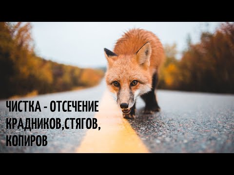 Видео: 🆘ЧИСТКА ОТ КРАДНИКА💥💯