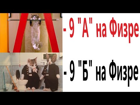 Видео: Приколы! КАК ПРОХОДИТ ФИЗРА! МЕМЫ - АНИМАЦИЯ! –СМЕШНЫЕ ВИДЕО от Доми шоу