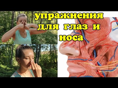 Видео: Почему жизнь глаз и мозга зависит ОТ НОСА? Как наладить венозный отток: 2 упражнения