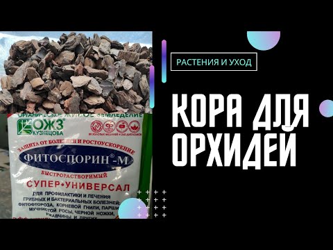 Видео: ОТЛИЧНЫЙ и ПРОСТОЙ способ обработки коры для орхидей ДО ПОСАДКИ. #орхидея