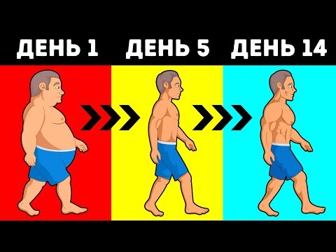Видео: Сколько Калорий Нужно Потреблять, Чтобы Сбросить вес?