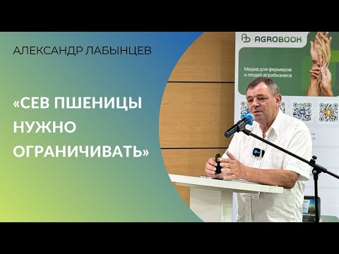 Видео: «Сев пшеницы нужно ограничивать»: как сохранить рентабельность в сезоне 2024/25 |Александр Лабынцев