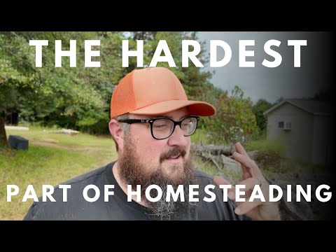 Видео: МЫ НЕ ОЖИДАЛИ ЭТОГО ОТНОСИТЕЛЬНО ДОМОСТИДИНГА | САМАЯ СЛОЖНАЯ ЧАСТЬ