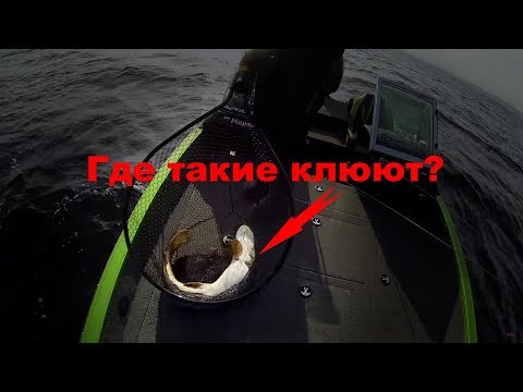 Видео: Где найти крупную щуку? Рыболовный гид рассказывает о ловле щуки.