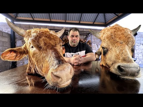 Видео: Готовим коровьи головы, как ты никогда не видел раньше!