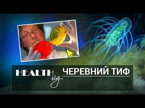 Видео: «Health - гід». Черевний тиф