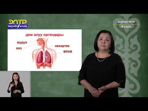 Видео: 9-класс | Кыргызский язык | Сууга чөккөндөгү көрсөтүлүүчү биринчи жардам