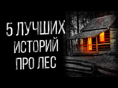 Видео: 5 ЛУЧШИХ ИСТОРИИ ПРО ЛЕС ОТ АЛЬБИНЫ НУРИ - УЖАСЫ. МИСТИКА