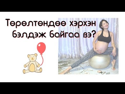 Видео: Сола хэрхэн төрөхдөө бэлдэж байгаа вэ?