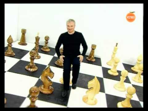 Видео: Диверсионный анализ задачи. Советы от Виталия Ильинского. Серия 5