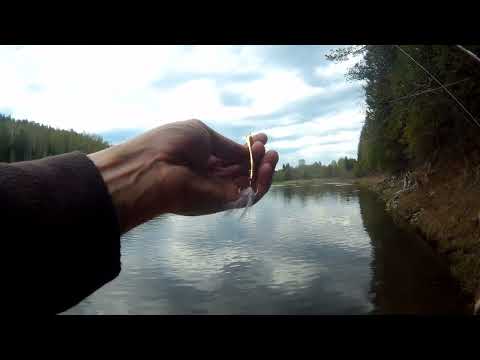 Видео: Рыбалка на спиннинг река Чусовая 21.05.2024