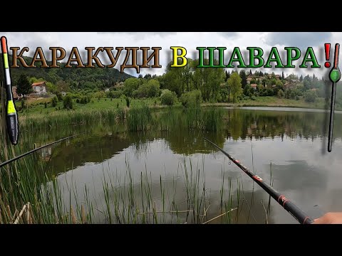 Видео: С ВАГЛЕР и ПЛУВКА през ЗАБРАНАТА!Риболов на ПОЗВОЛЕН водоем! Трудни пролетни КАРАКУДИ в ШАВАРА!